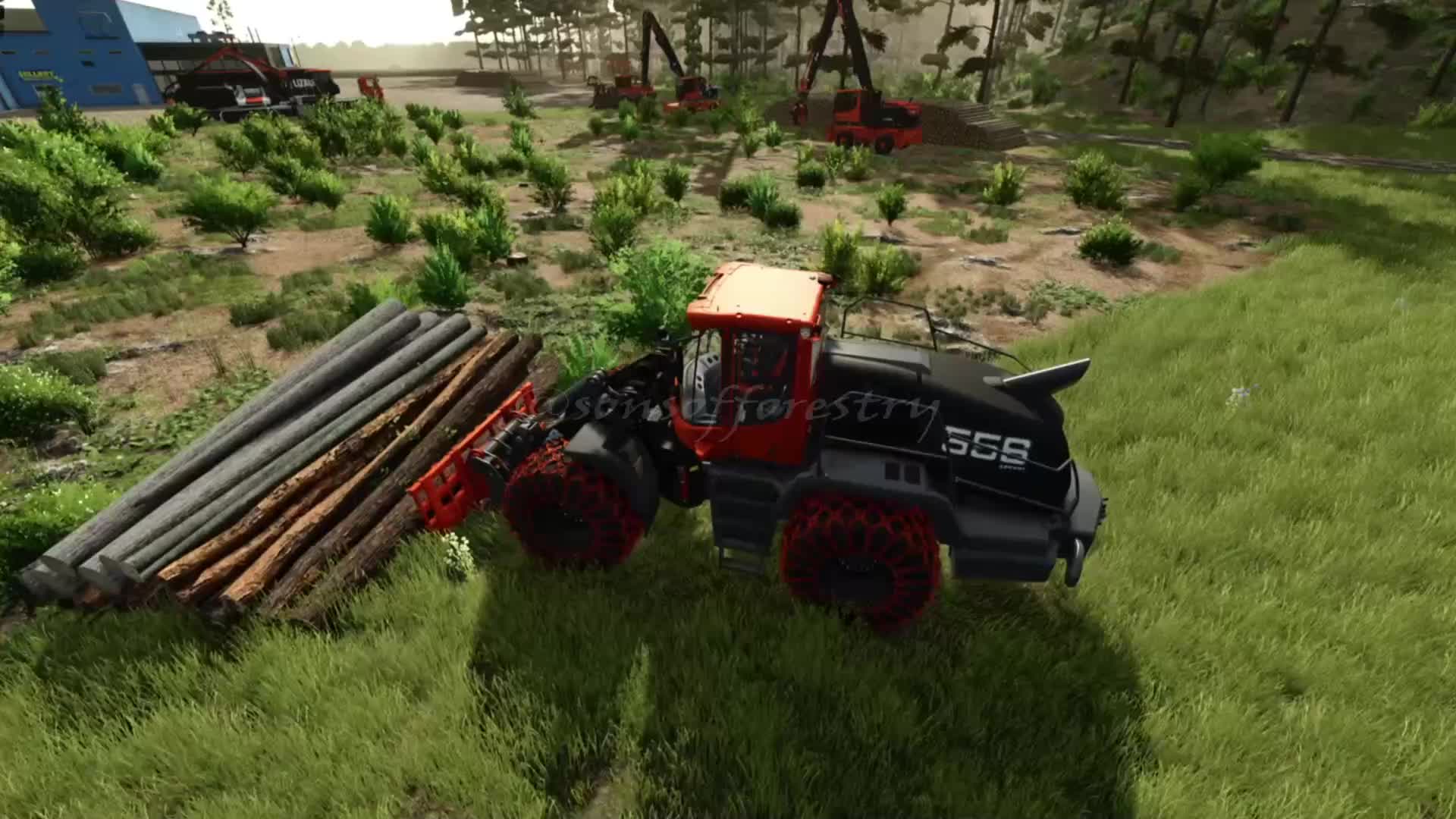 @SONS OF FORESTRY