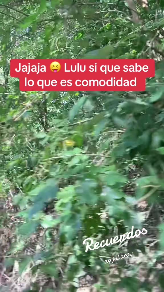 @Fran Jara