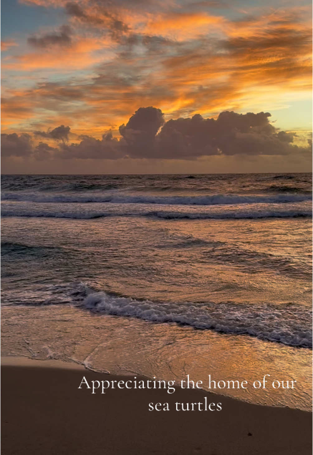 @thecoastalstewards