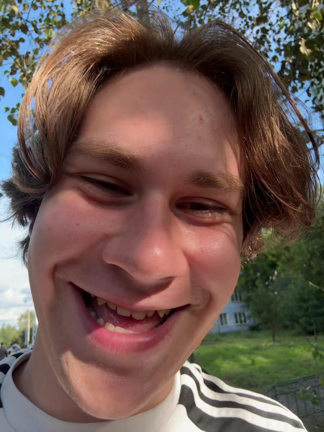 @platonmiller