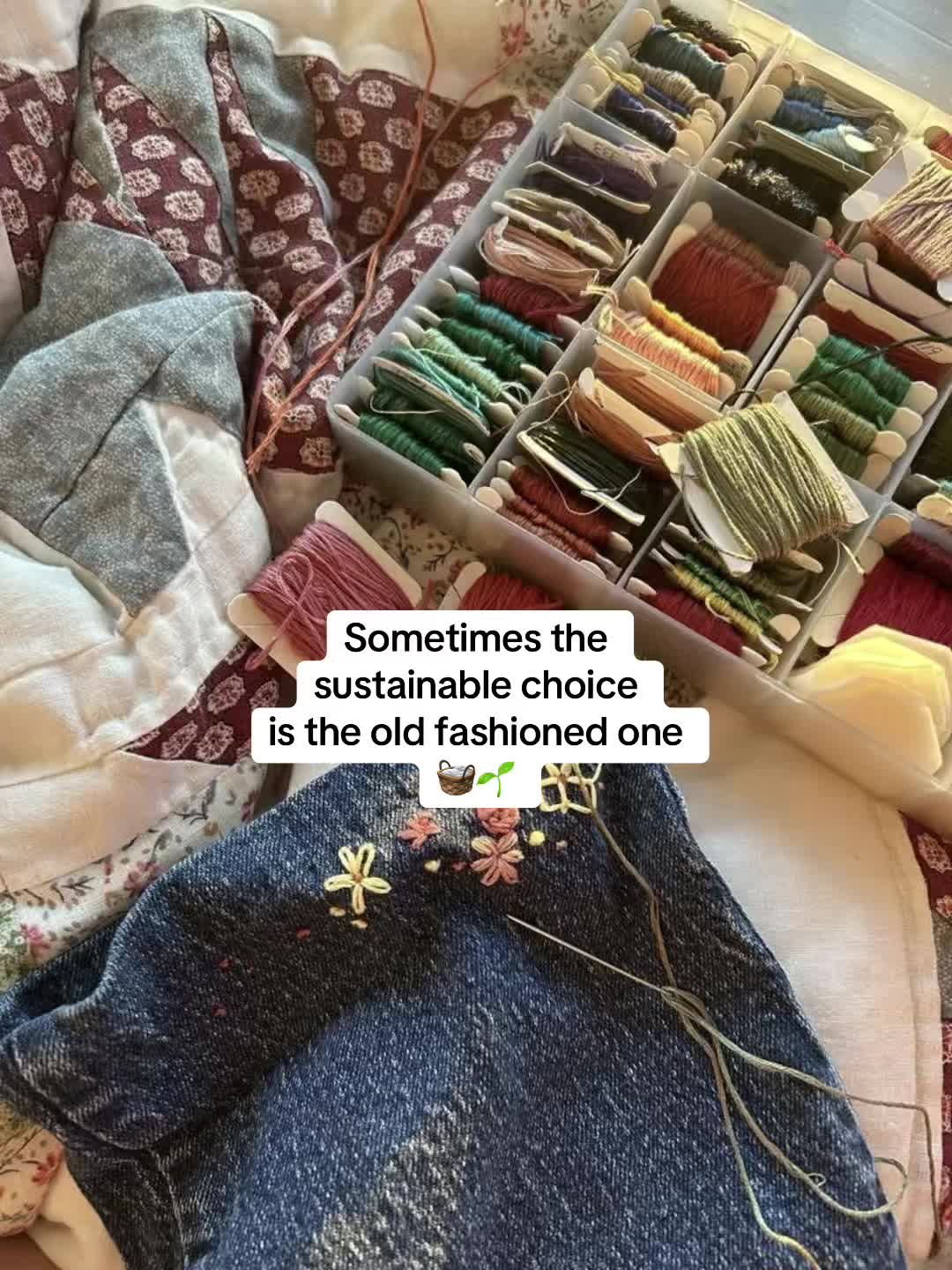 @amaliaplantstrees