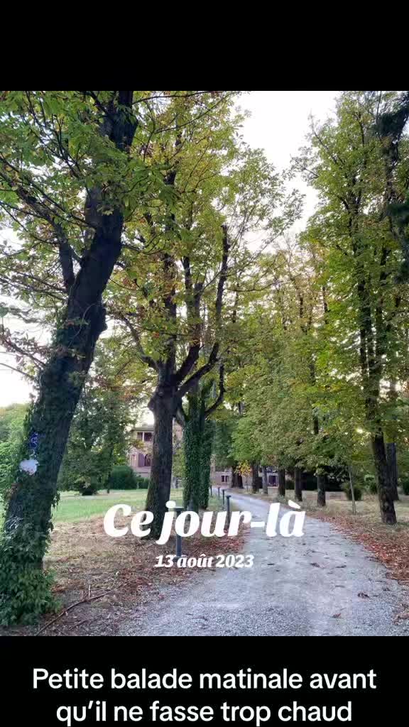 @paulinecallier17