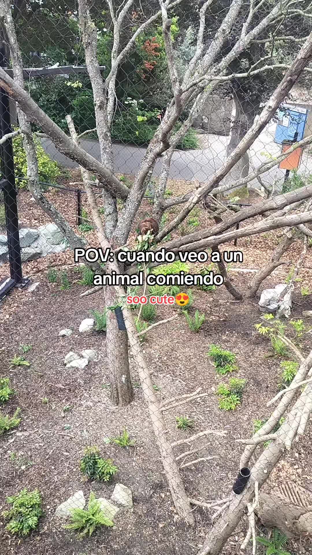 @⚽️ᛕꫀꪗꪶꪮꪀ502🇬🇹🥊