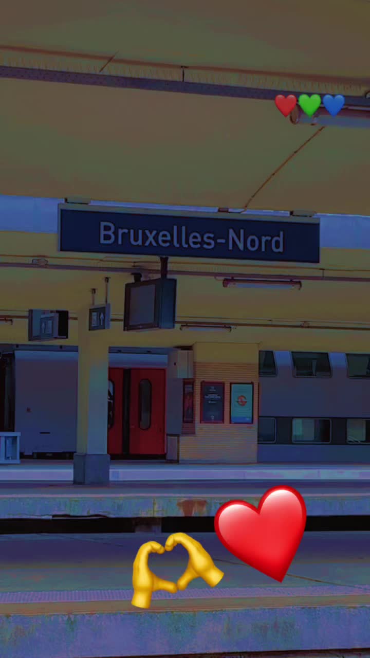 @Gordon❤️🇧🇪🇸🇳🦁