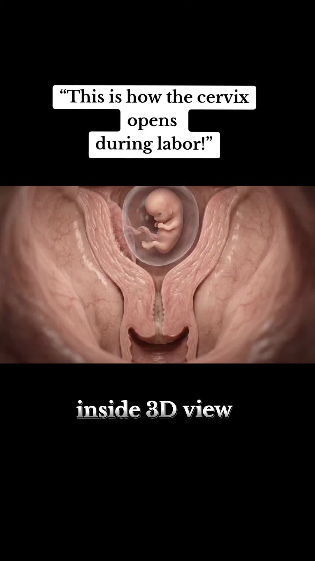 @BABY INSIDE-7