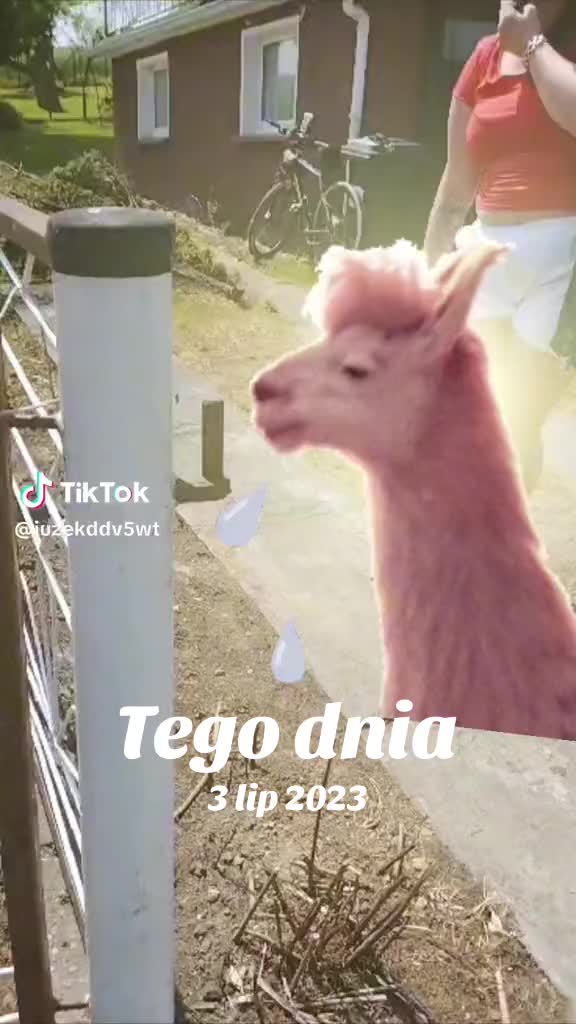 @Renaciorka💅🏻