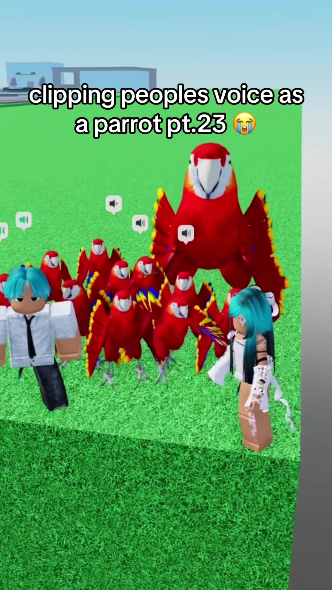 @nobrainjames