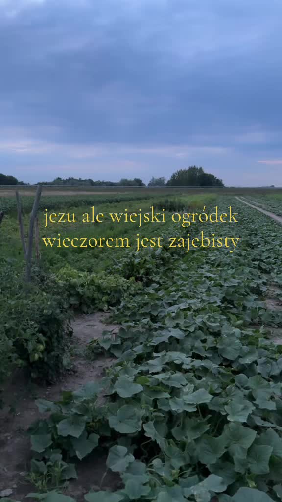 @czterdziesci_i_cztery
