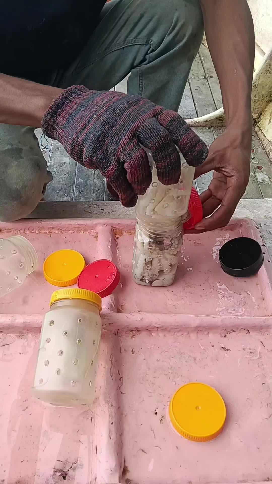 @Aku CikUjang