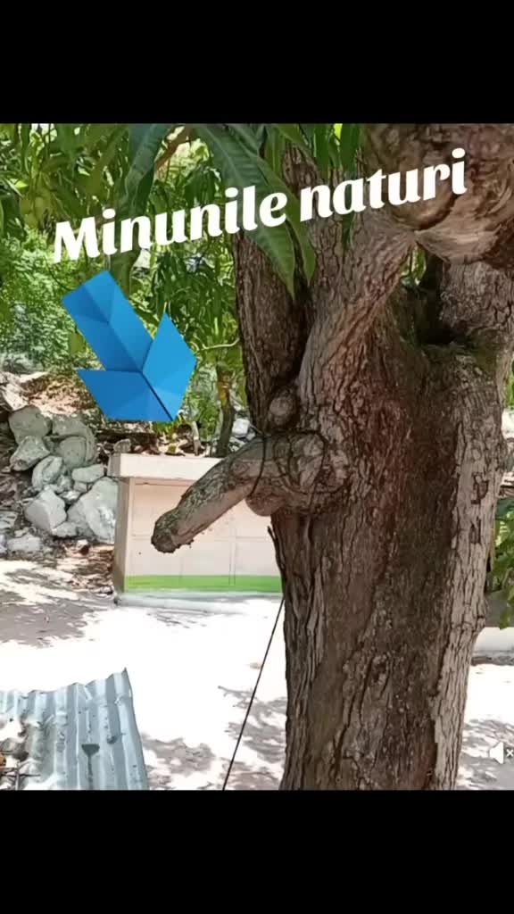 @Blondu 87 și at&acirc;t