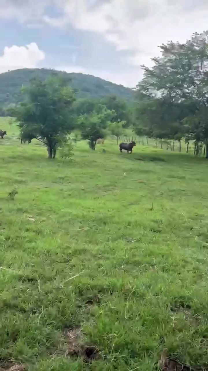 @Rancho Piedra Nube