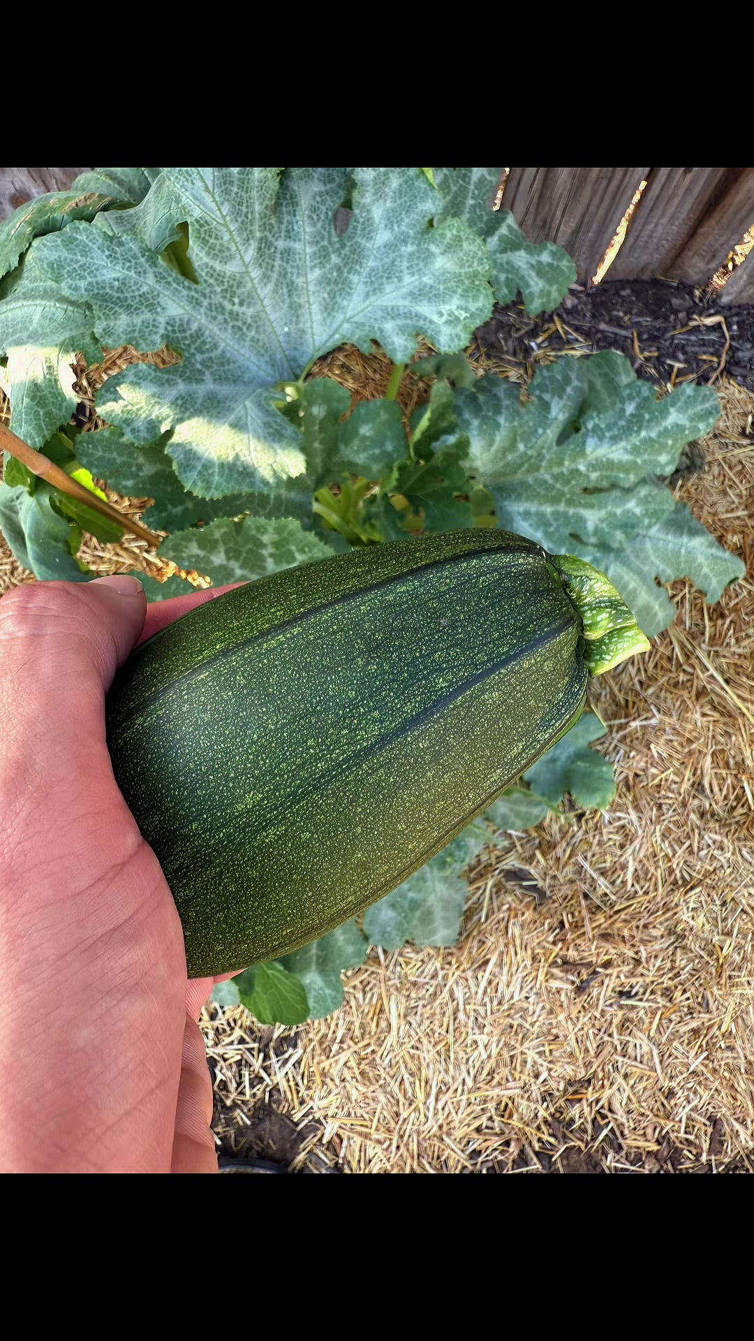 @themagicvalleygardener