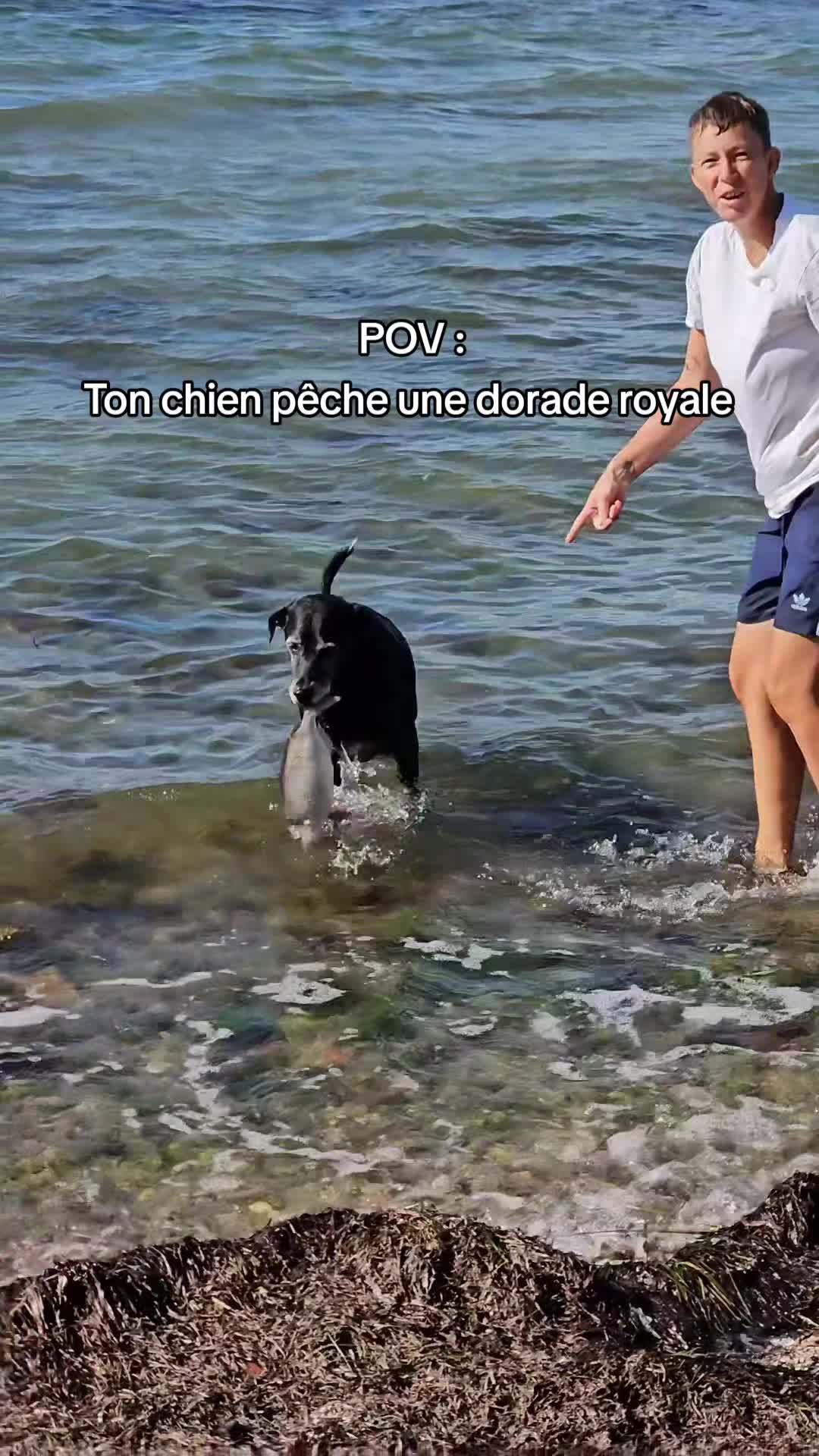 @Neïko Neïko