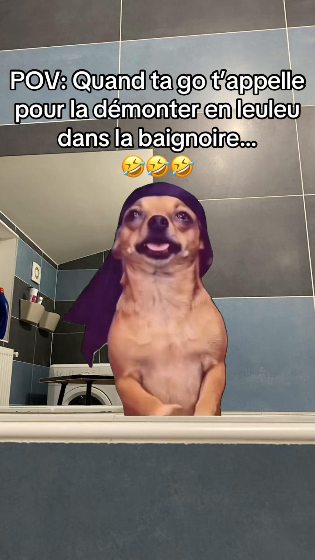 @YoYo  🔥😂 SH🤪W P.O.V. 🤣🔥