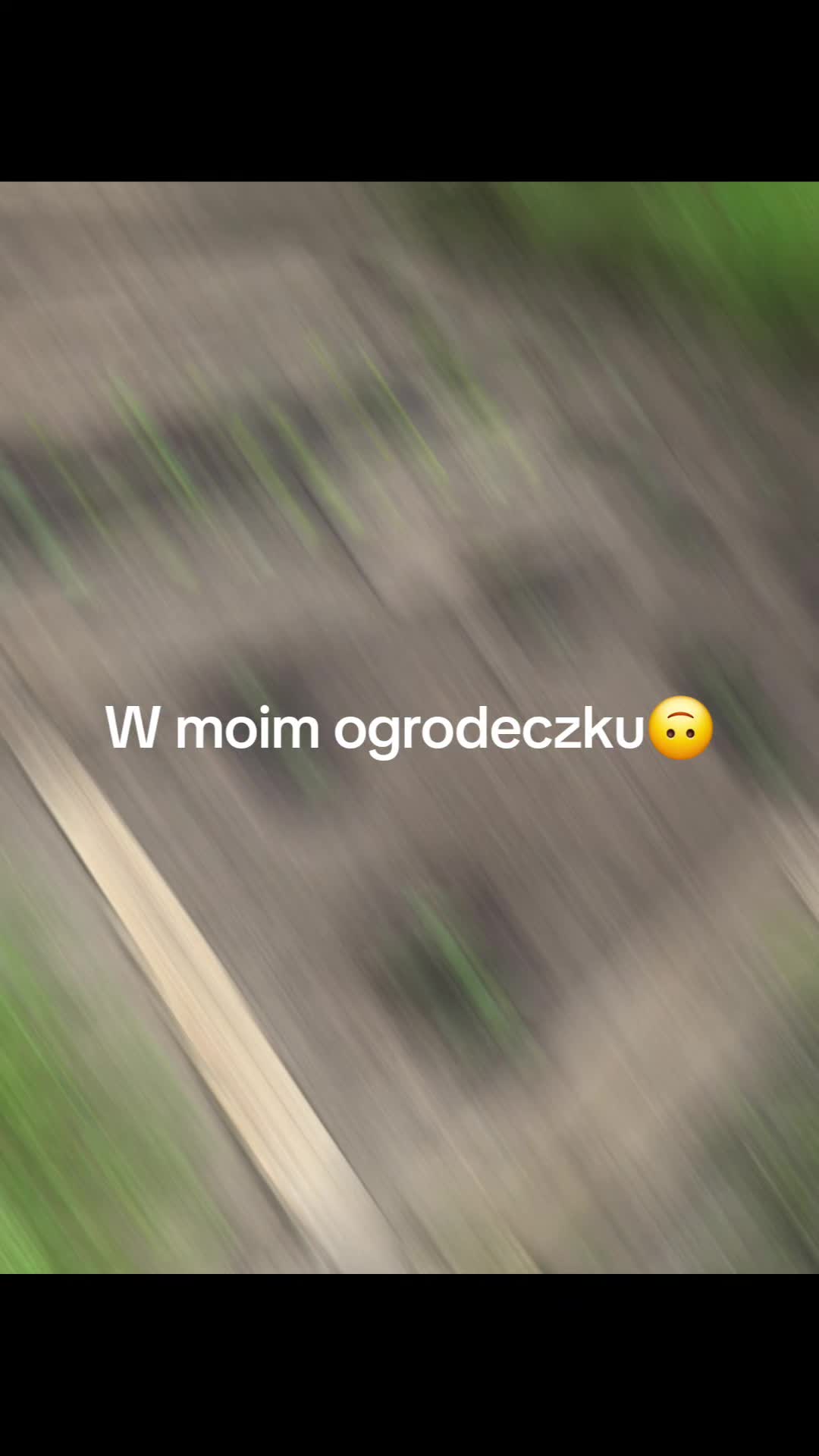 @HAZI🐰🥕Top🐰🥕
