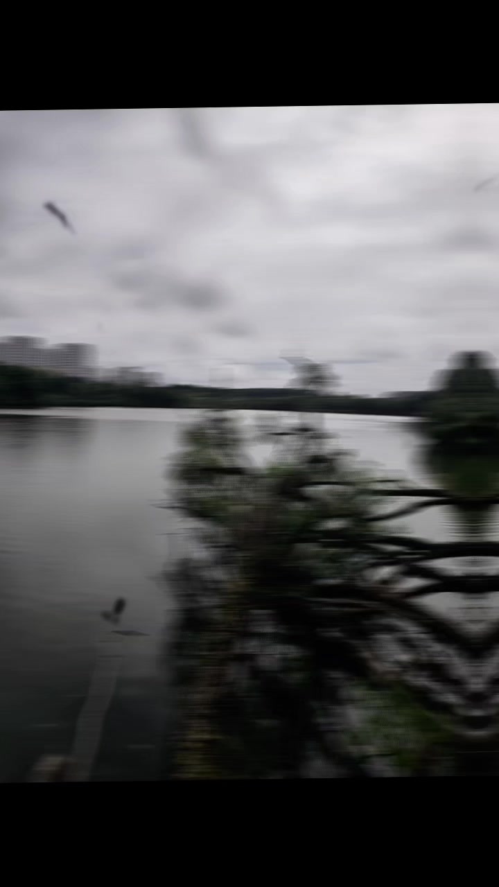 @Даник