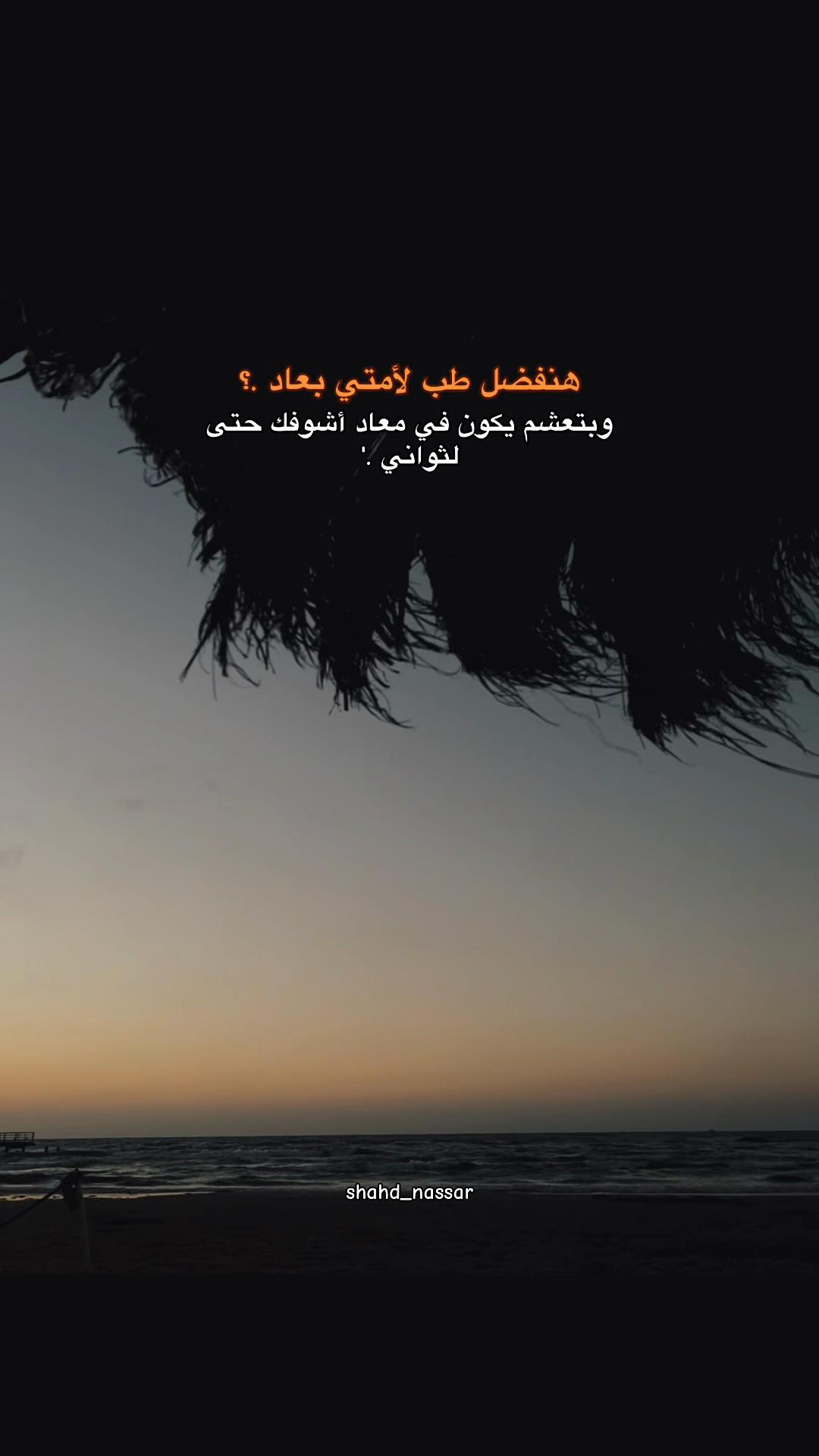 @shahd nassar