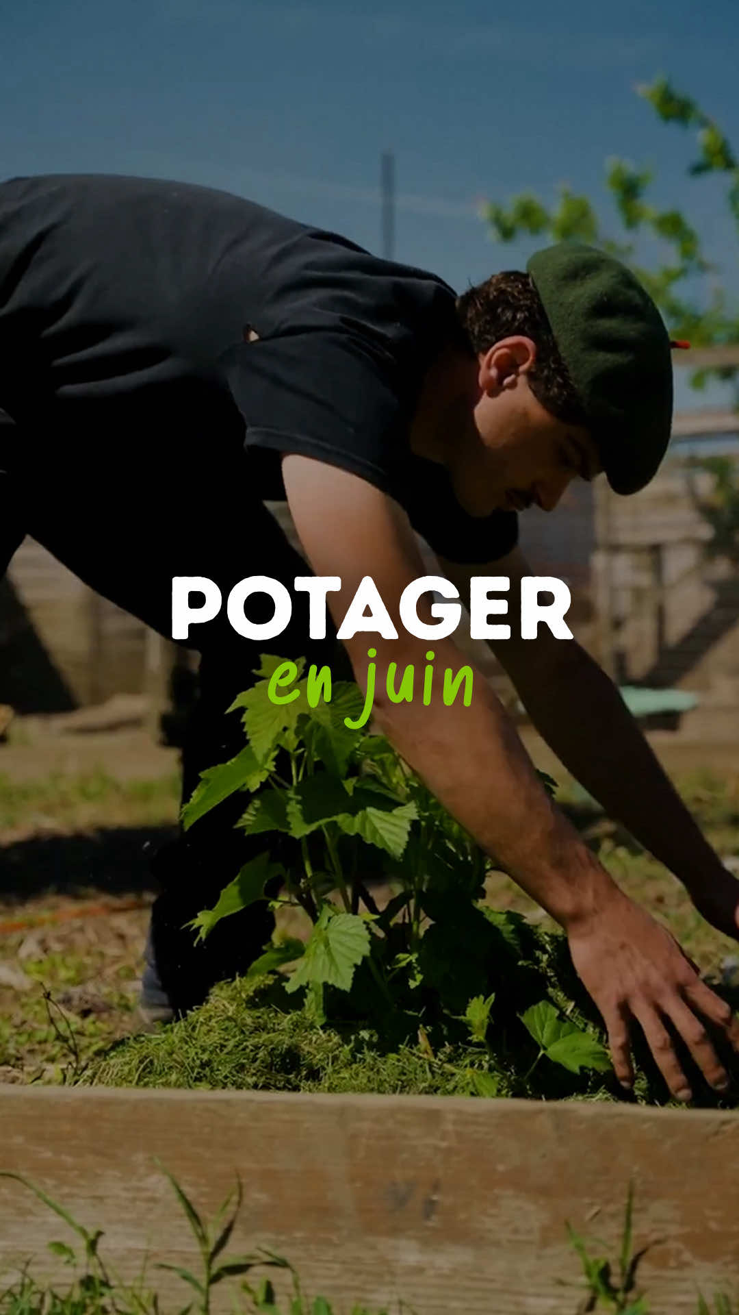 @Goran Le Permaculteur