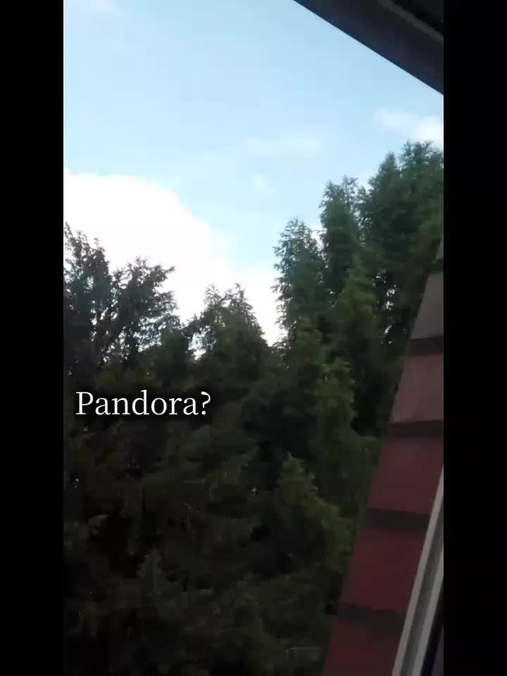 @~`&deg;L~🇮🇹&deg;`~