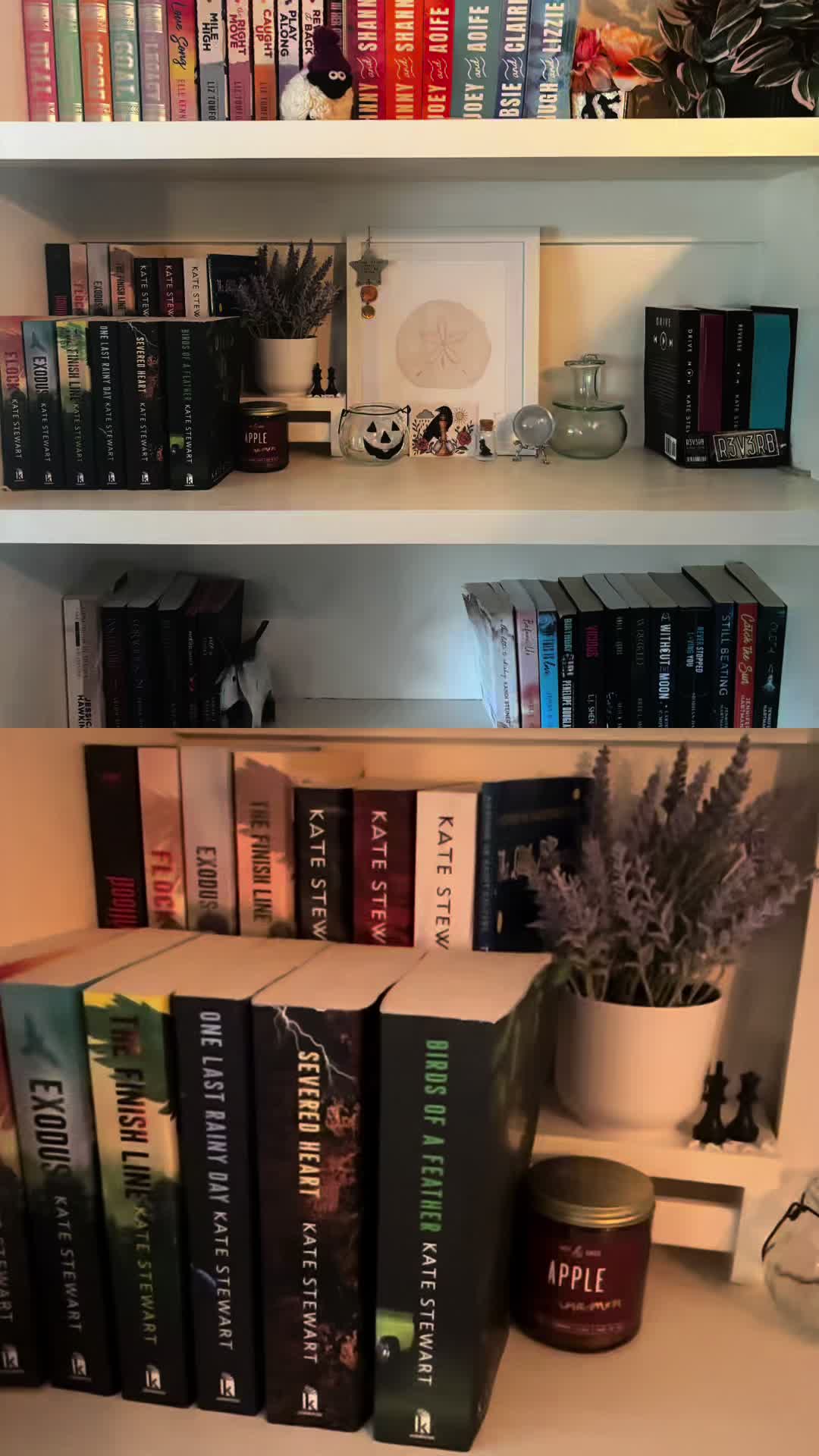 @read_with_trina 📚♟️🐦⬛💜