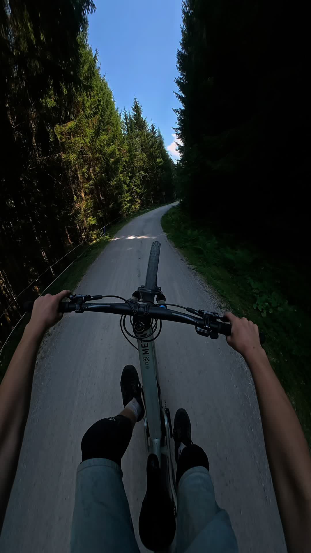 @Freeride_lion2