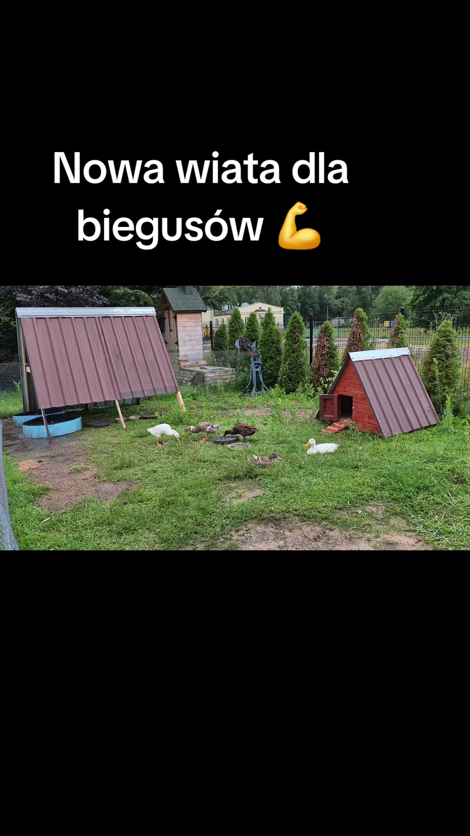 @Katarzyna