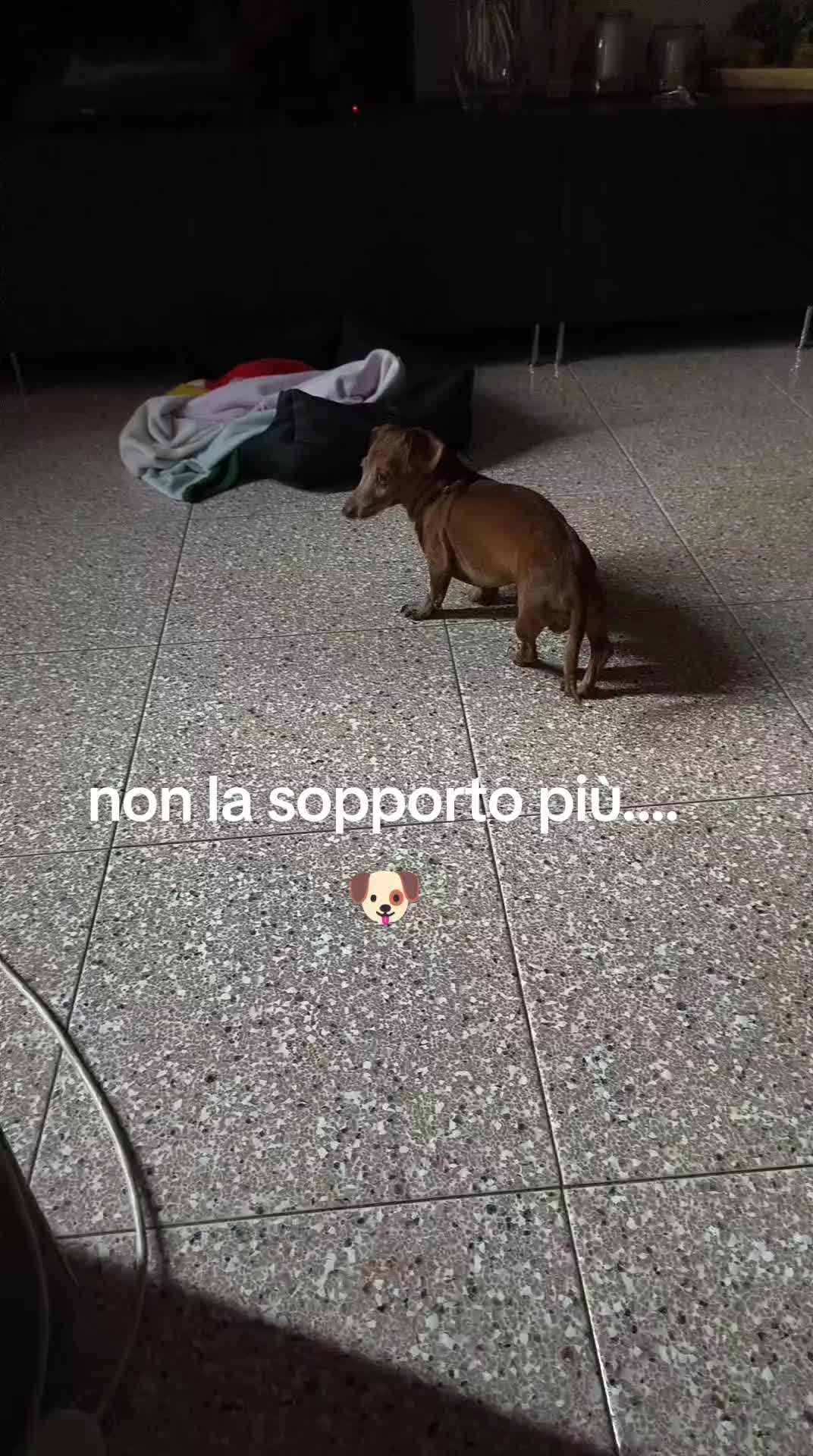@Marta e Jj