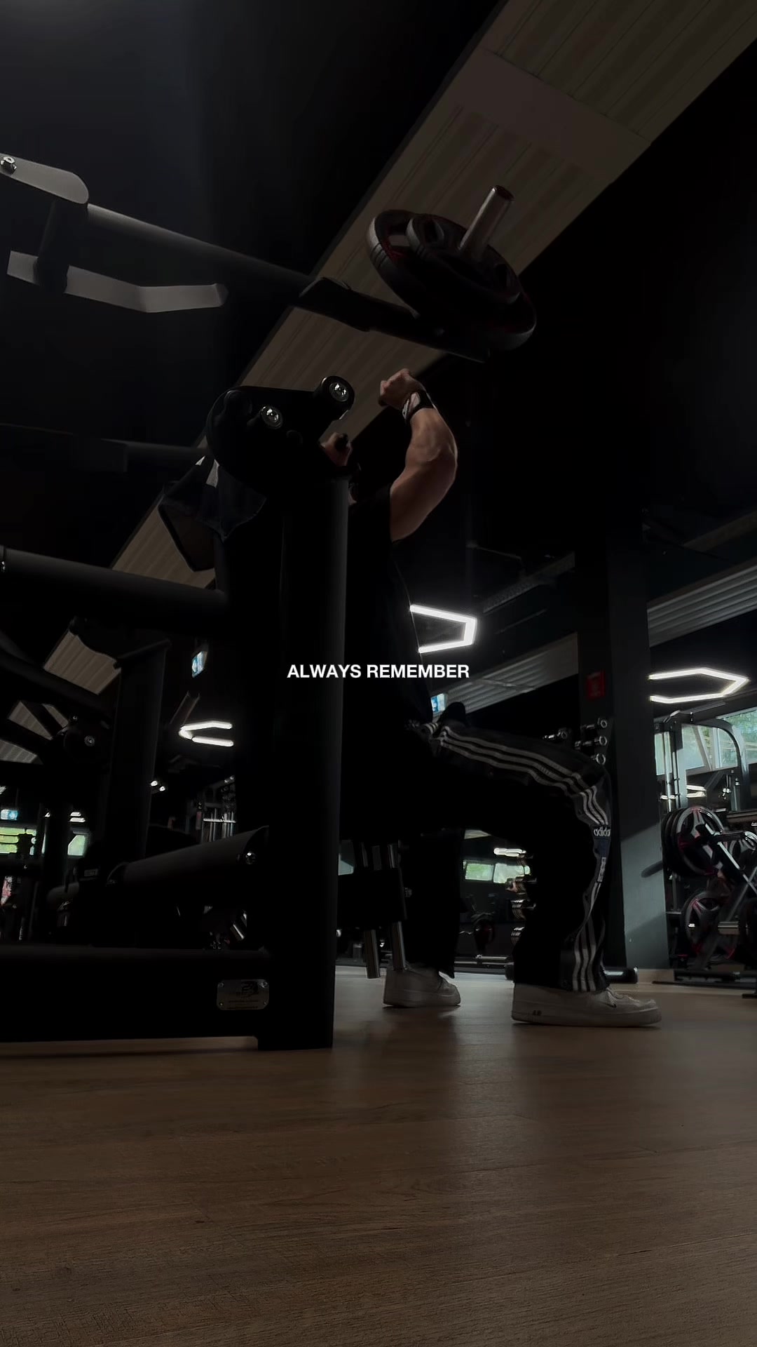 @Tim || GYM & LIFTINGARTIST