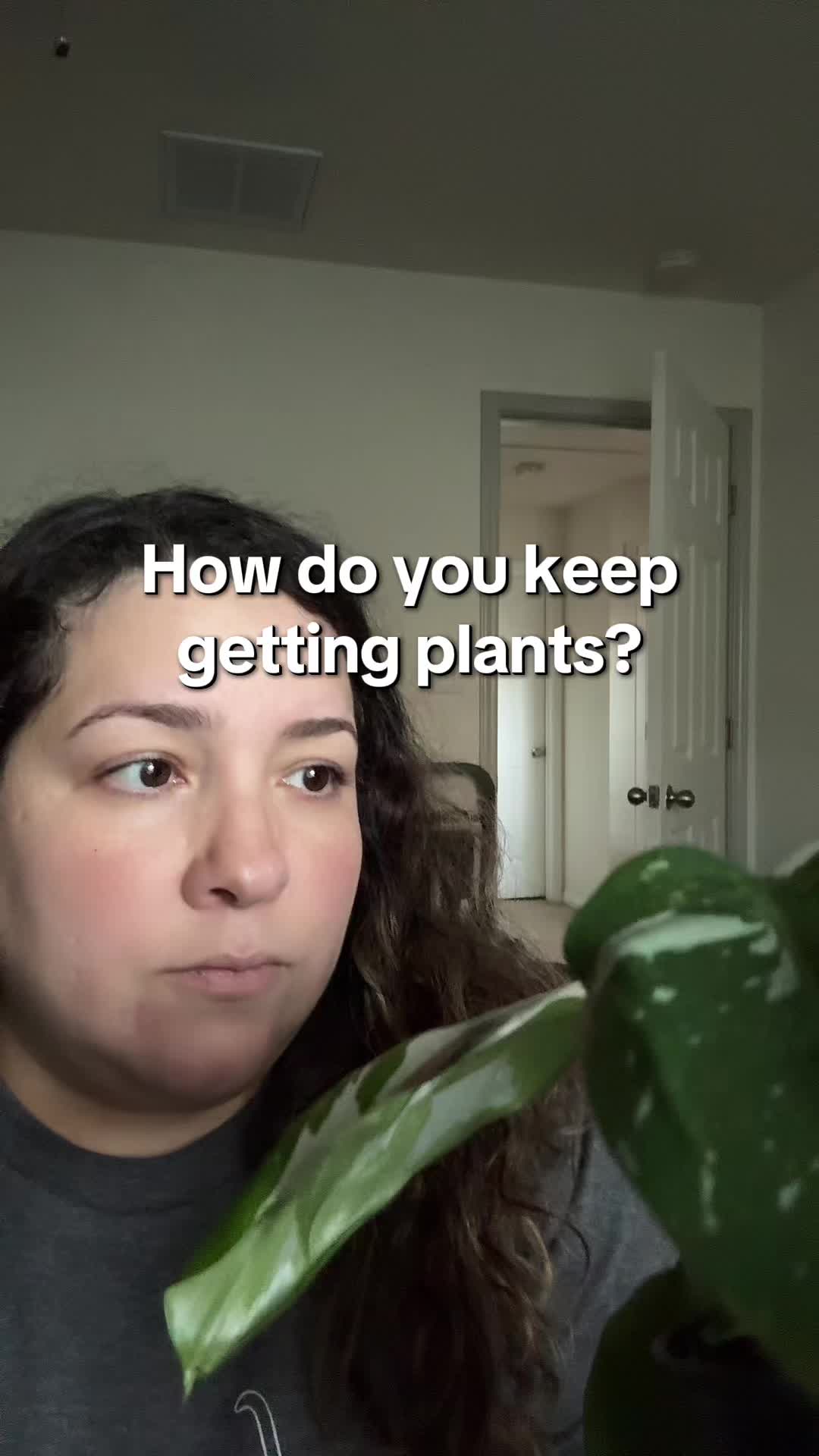 @que3nBeans_plants
