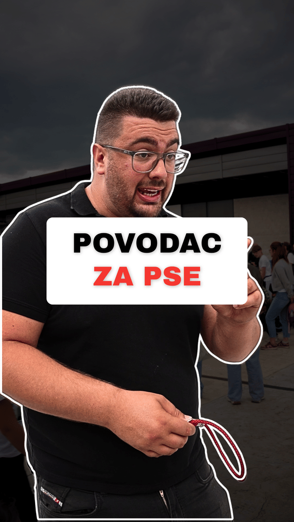 @superdog.akademija