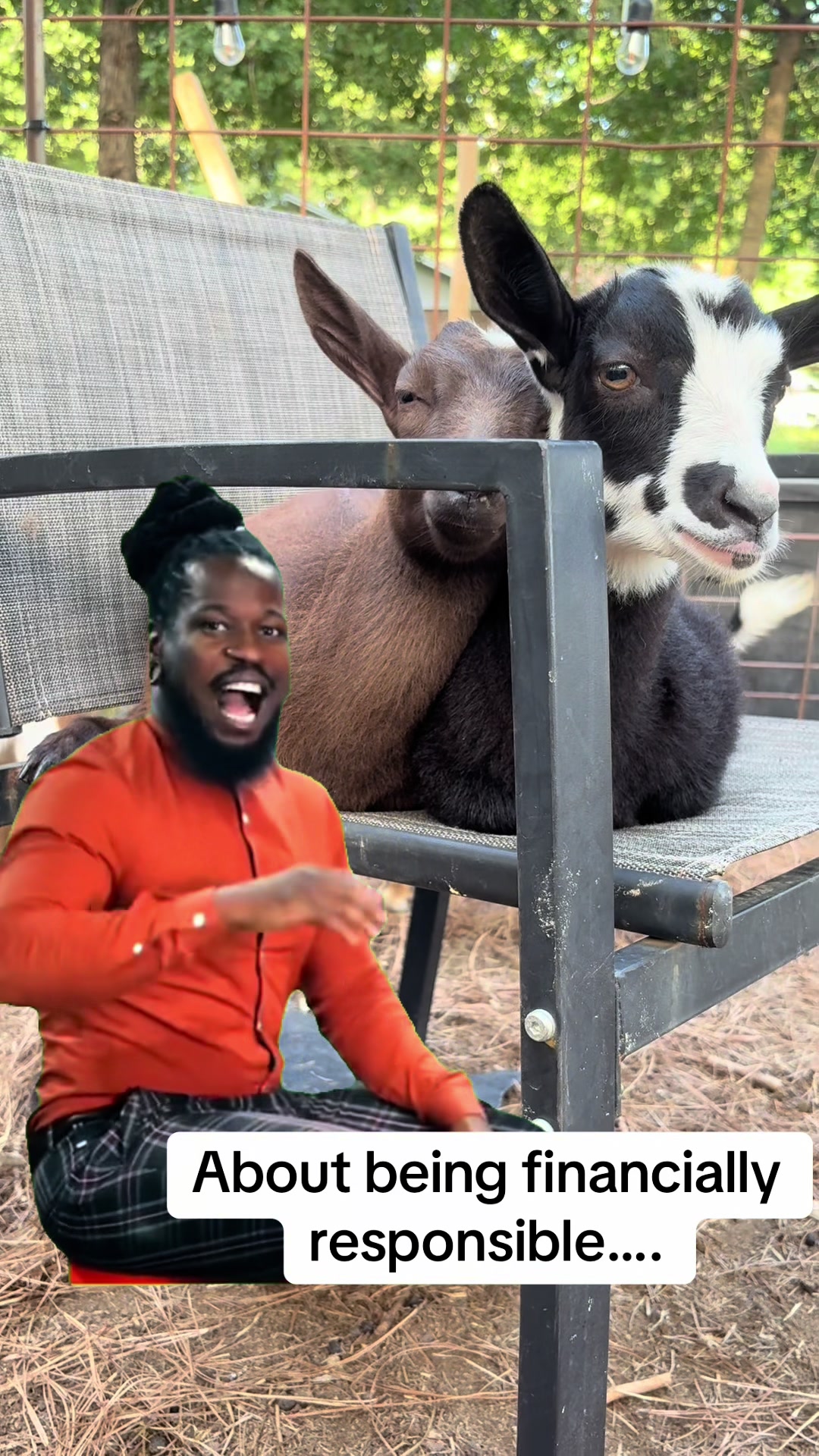 @Sierra_TSWFarms - 🐐🥛🐝