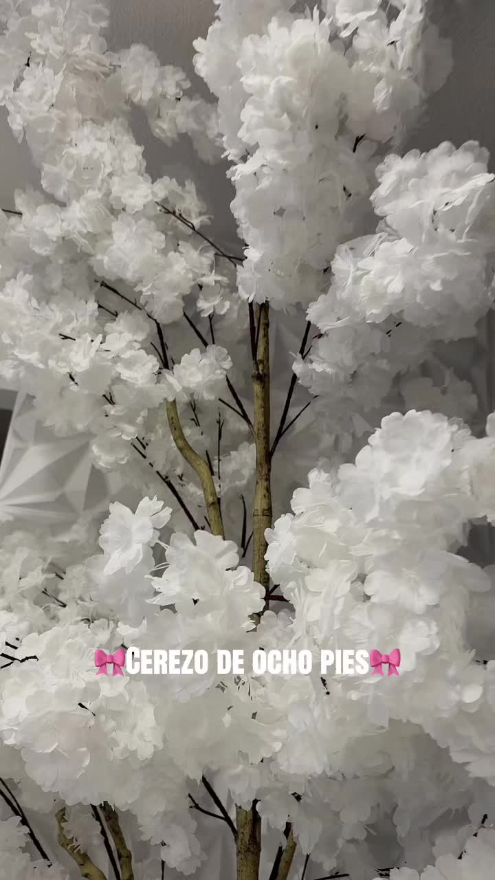@💎🎀LA PONY 🎀💎