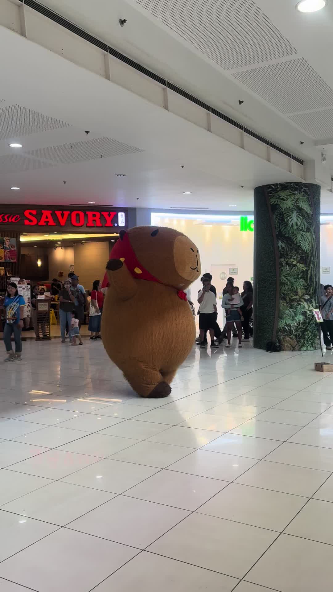@𝑲𝒂𝒕