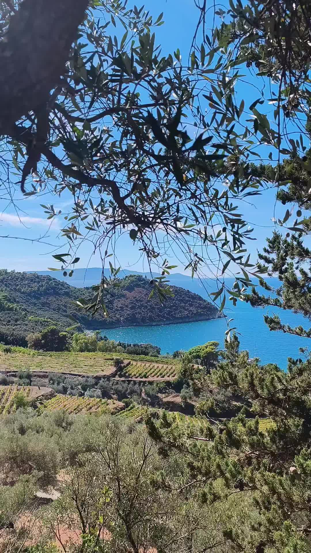 @Annamaria83🇷🇴🇮🇹🦂