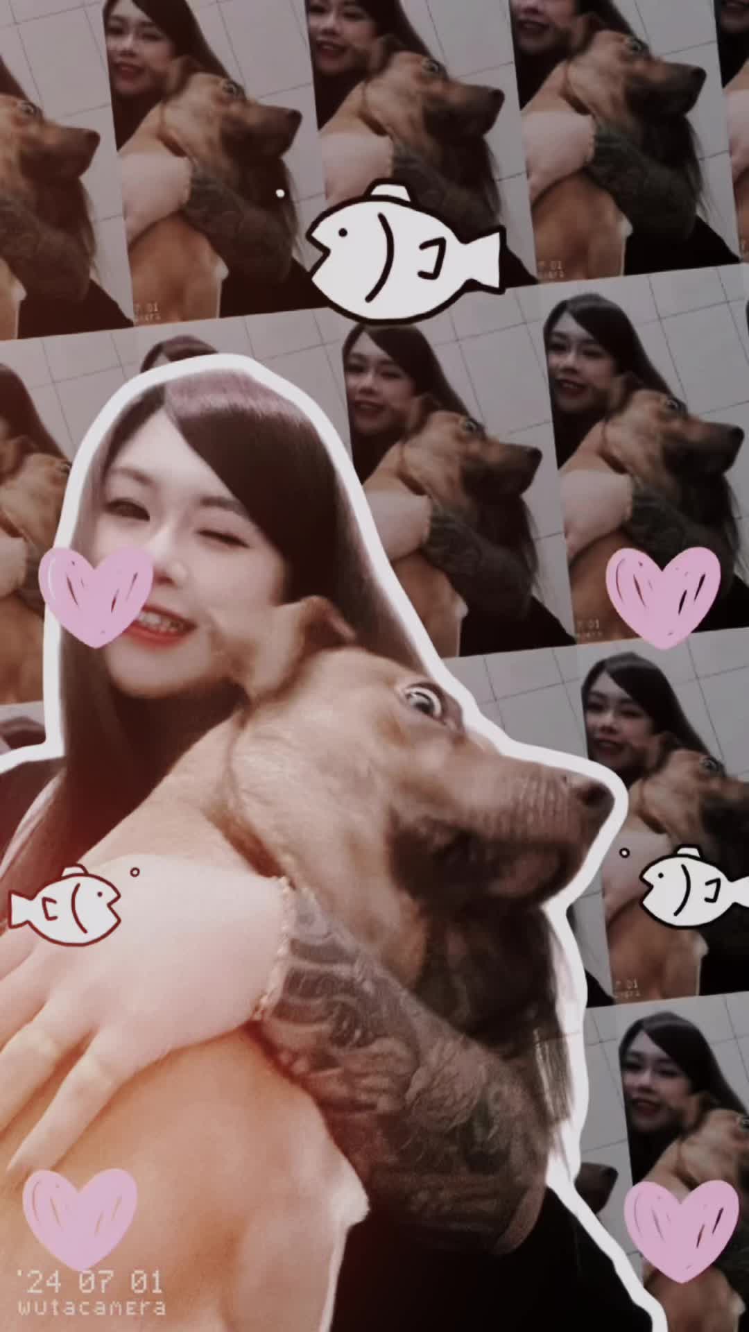 @๐๐ฒ๐ท ๐๐ฒ๐ท ๐