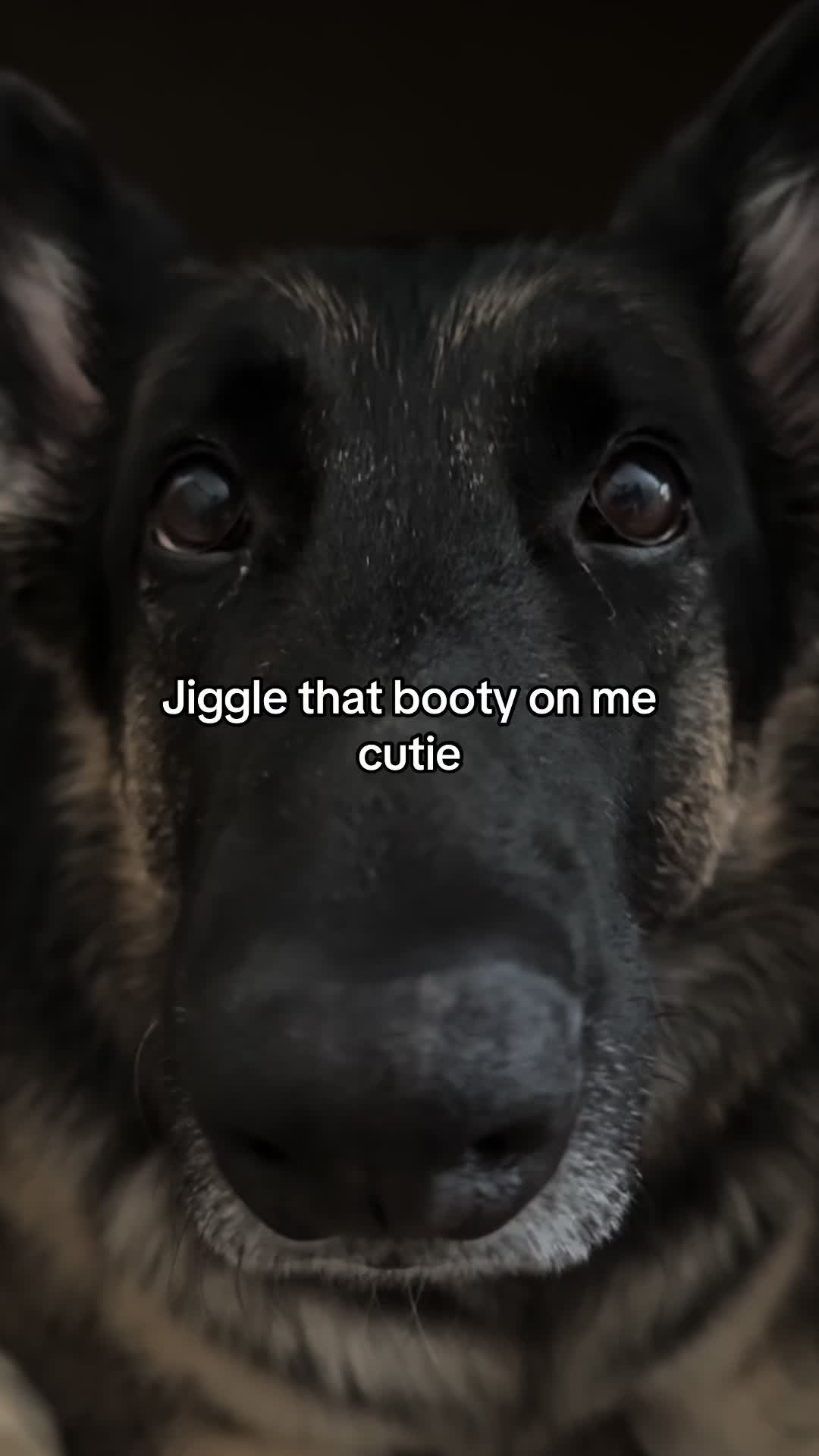 @Bhris