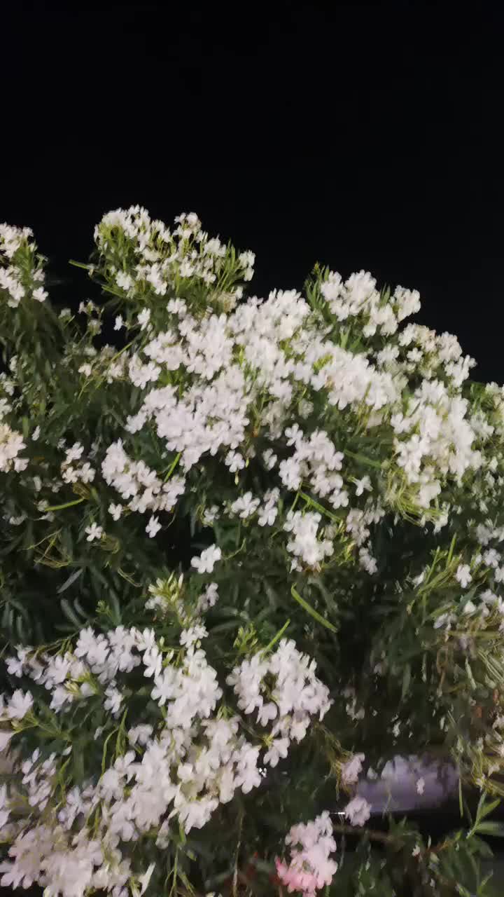 @Alexandra99