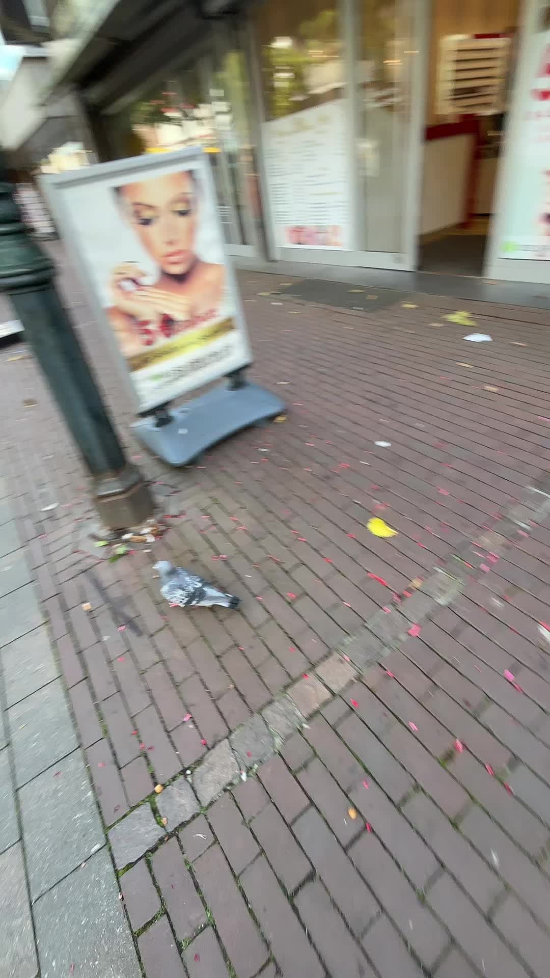 @𝓢🦢