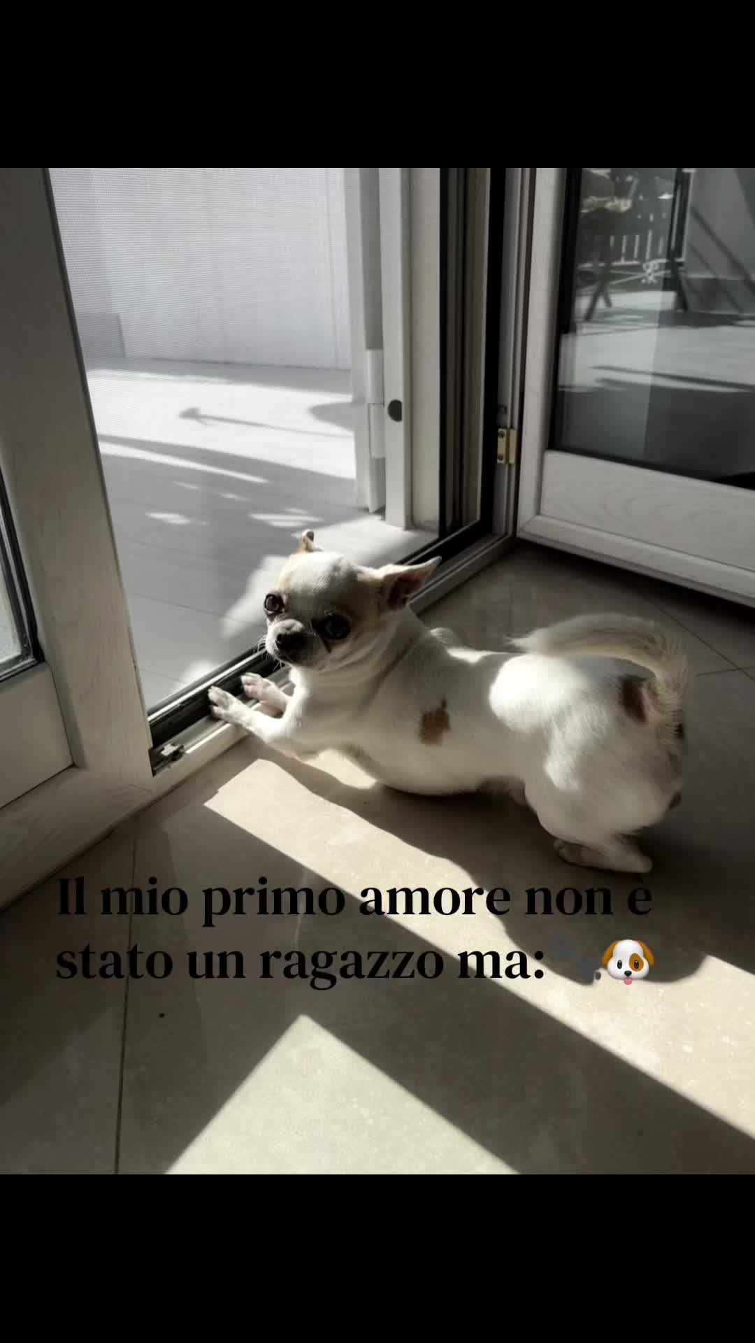@FATIMA MARINO🩷🩷🩷
