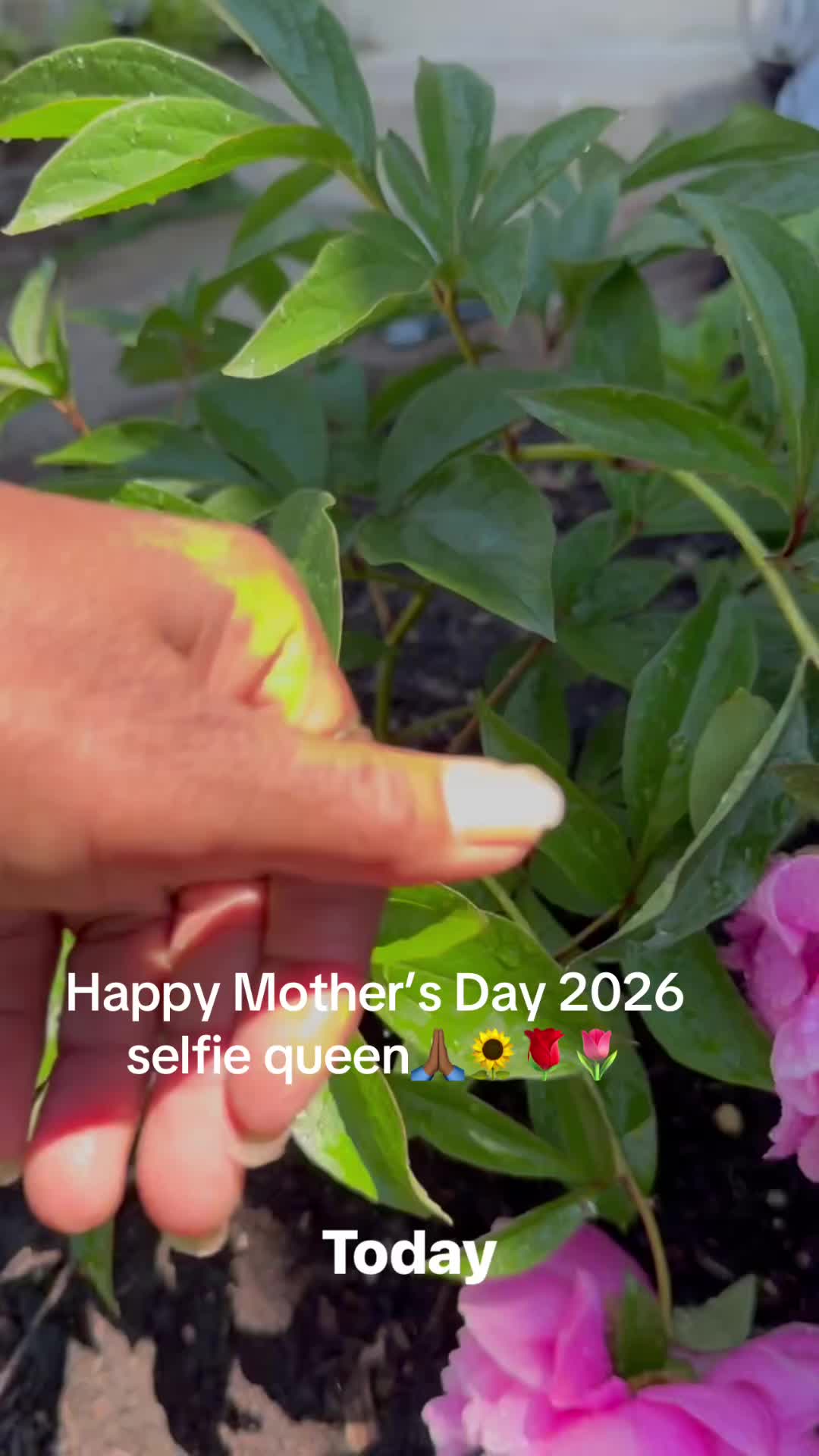 @prettypaulette66