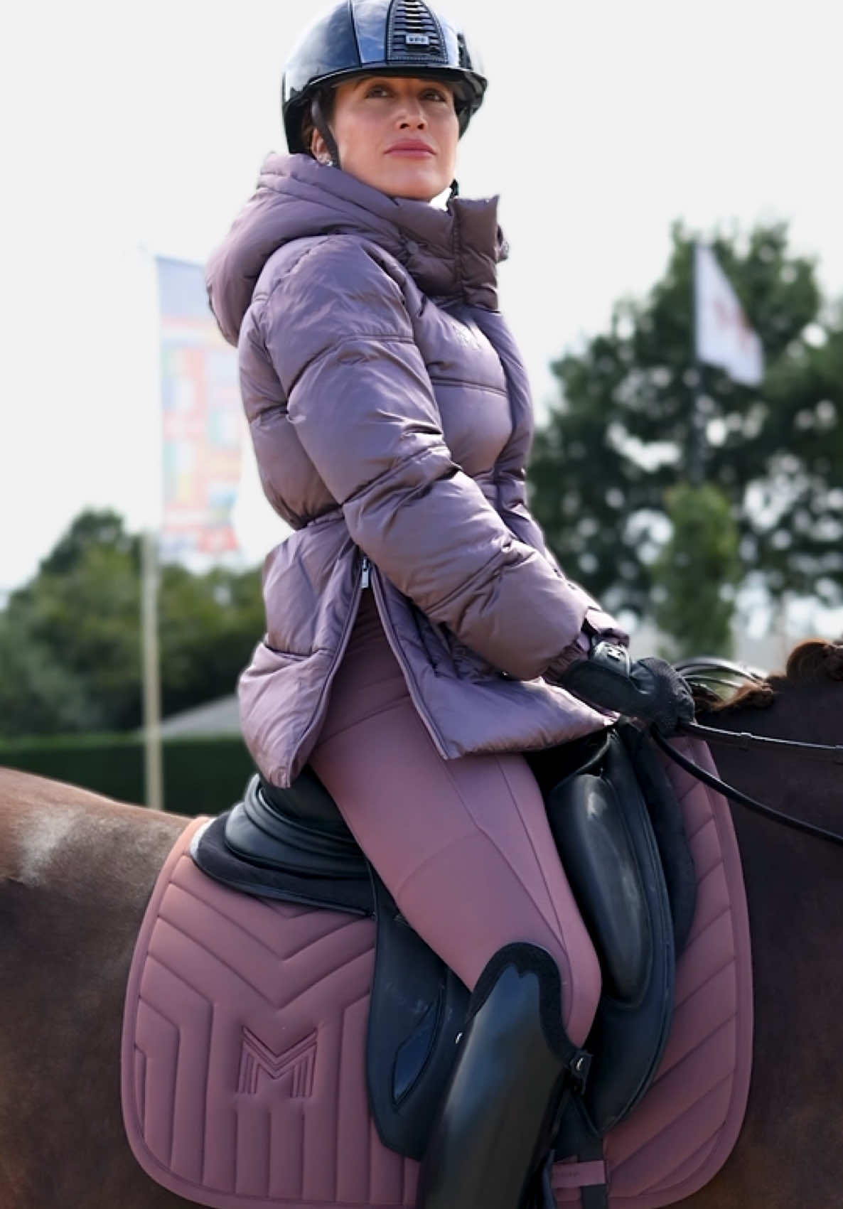 @Maximilian Equestrian