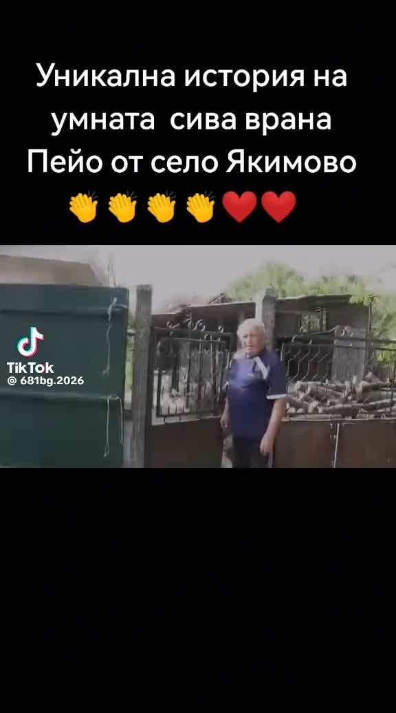 @Steikatas1