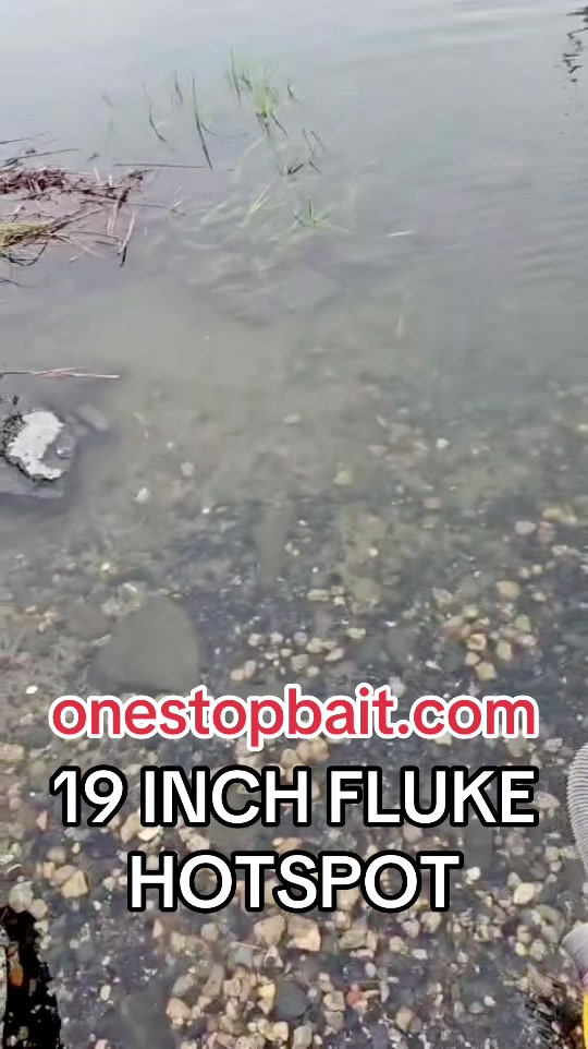 @One stop bait & tackle