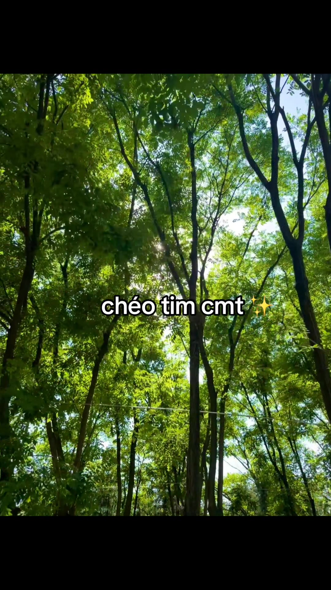 @mimi