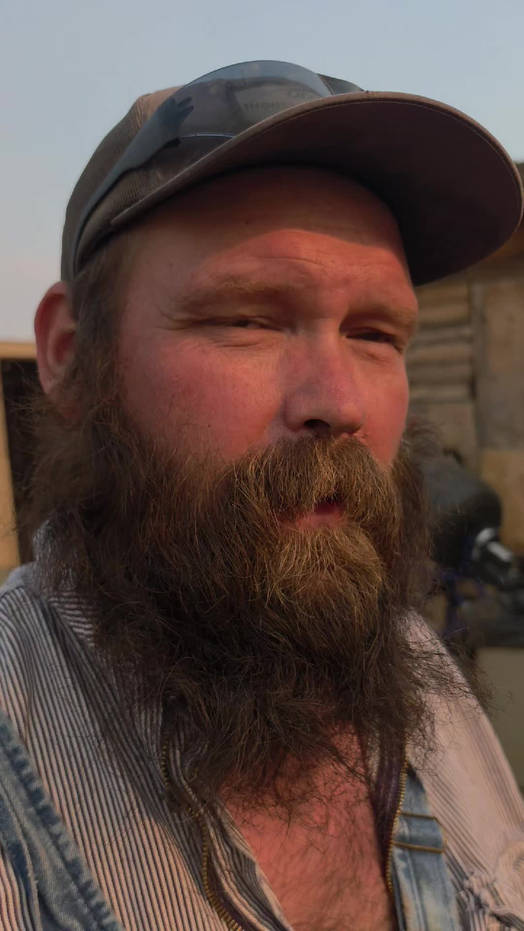 @thebeardedfamily1
