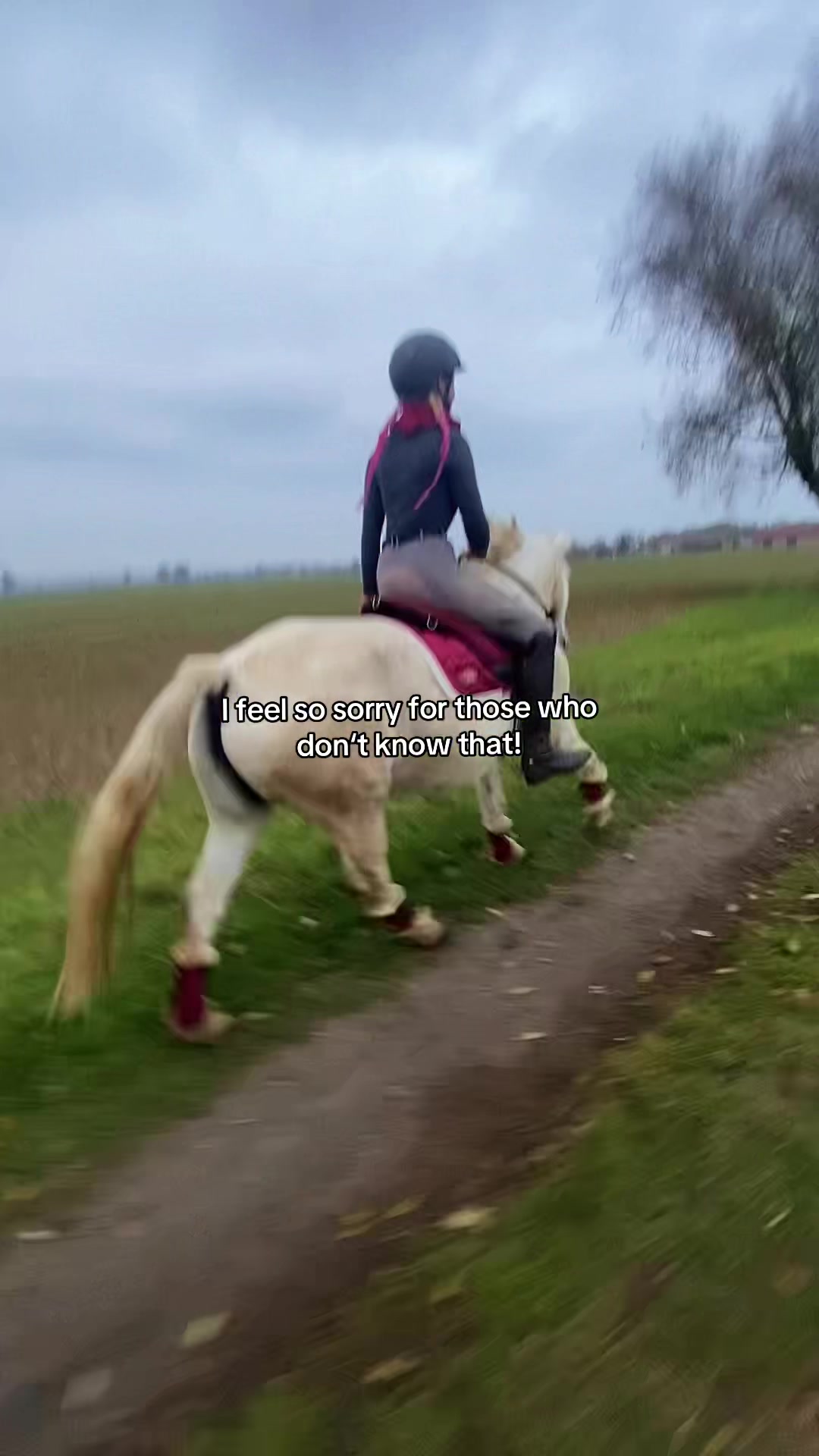@show.jumper_speedy