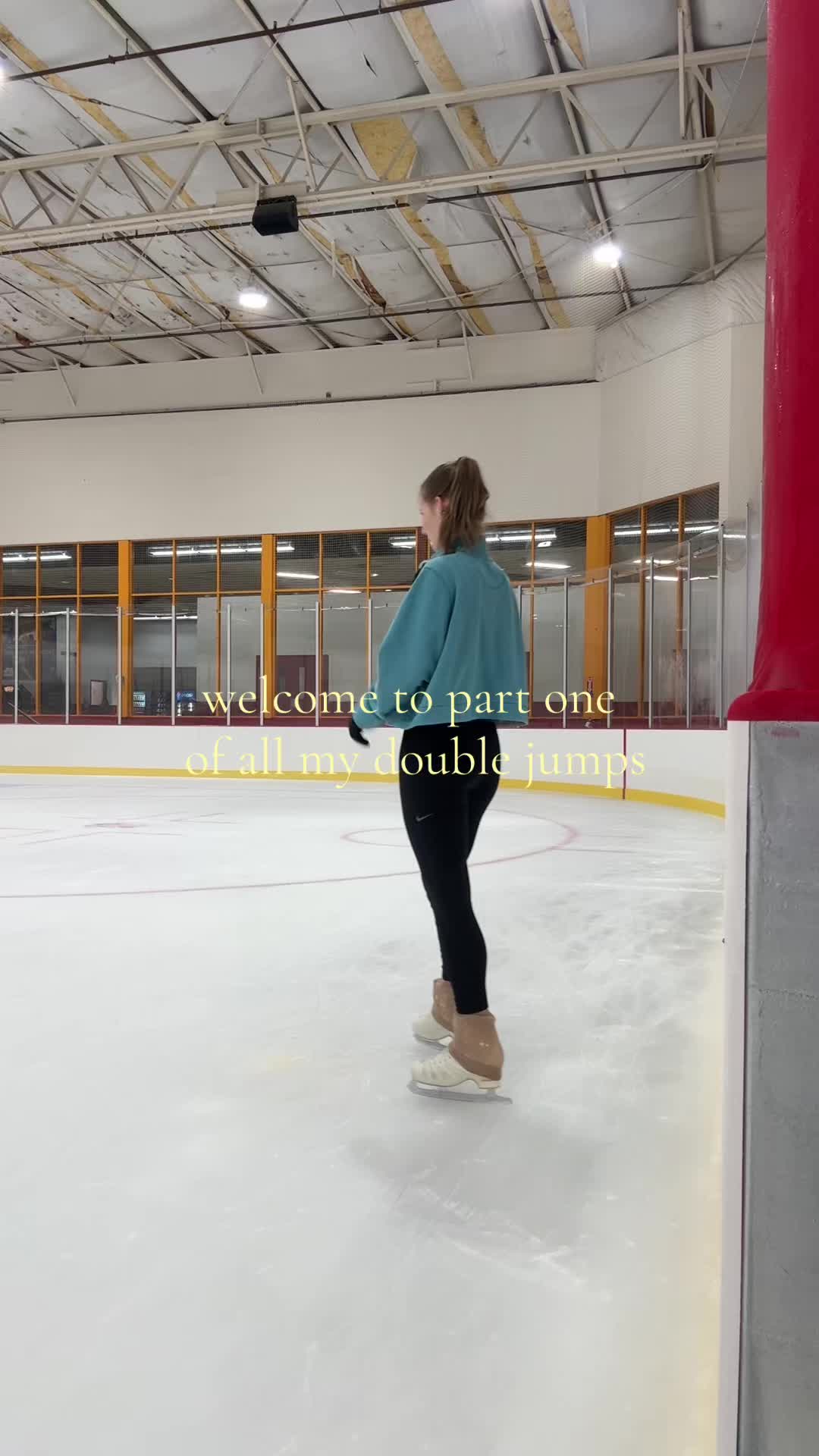 @arctic anna