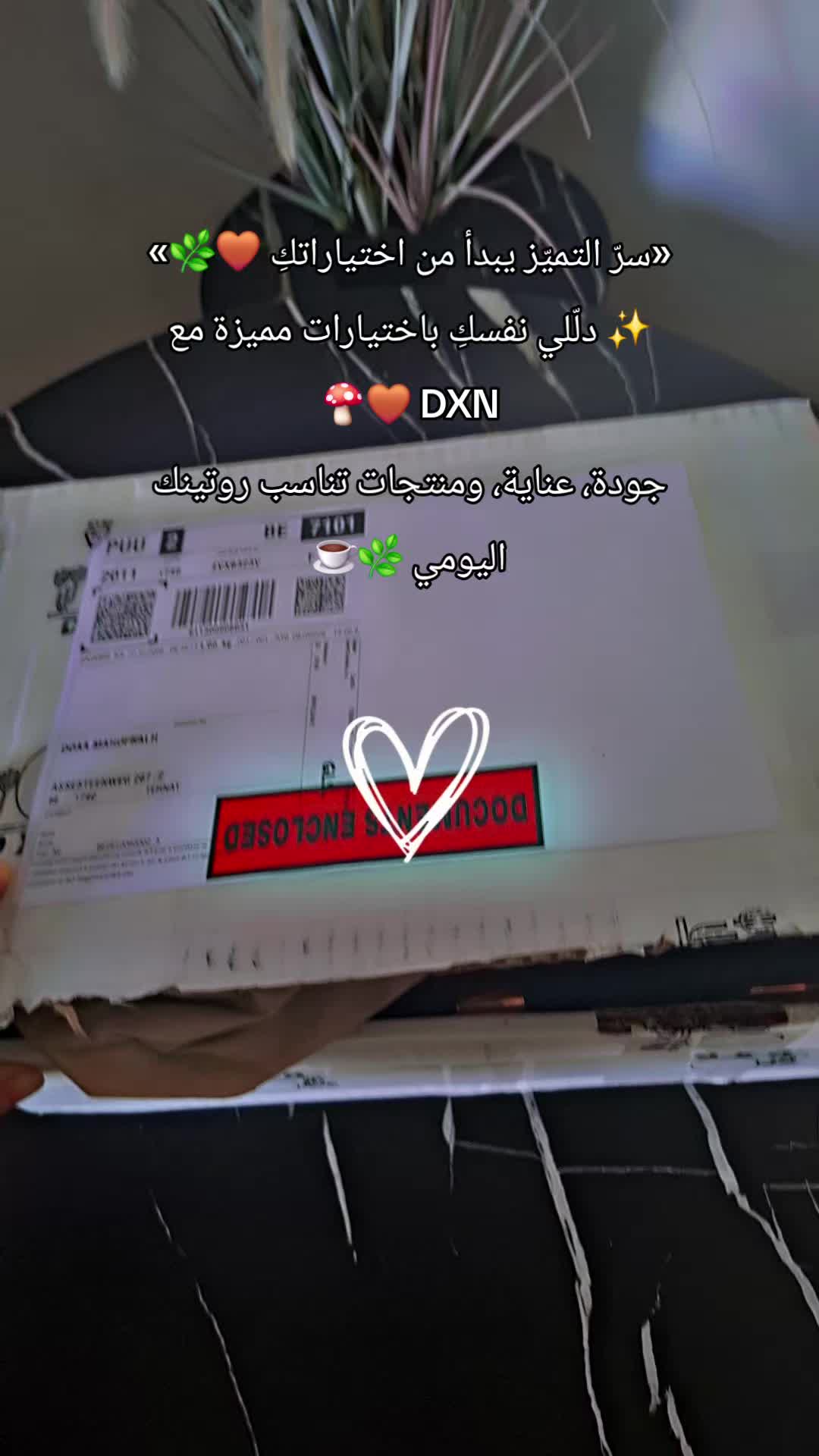 @✨️Doaa✨️
