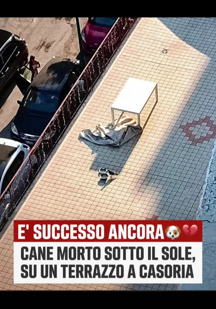 @Michele72☑️