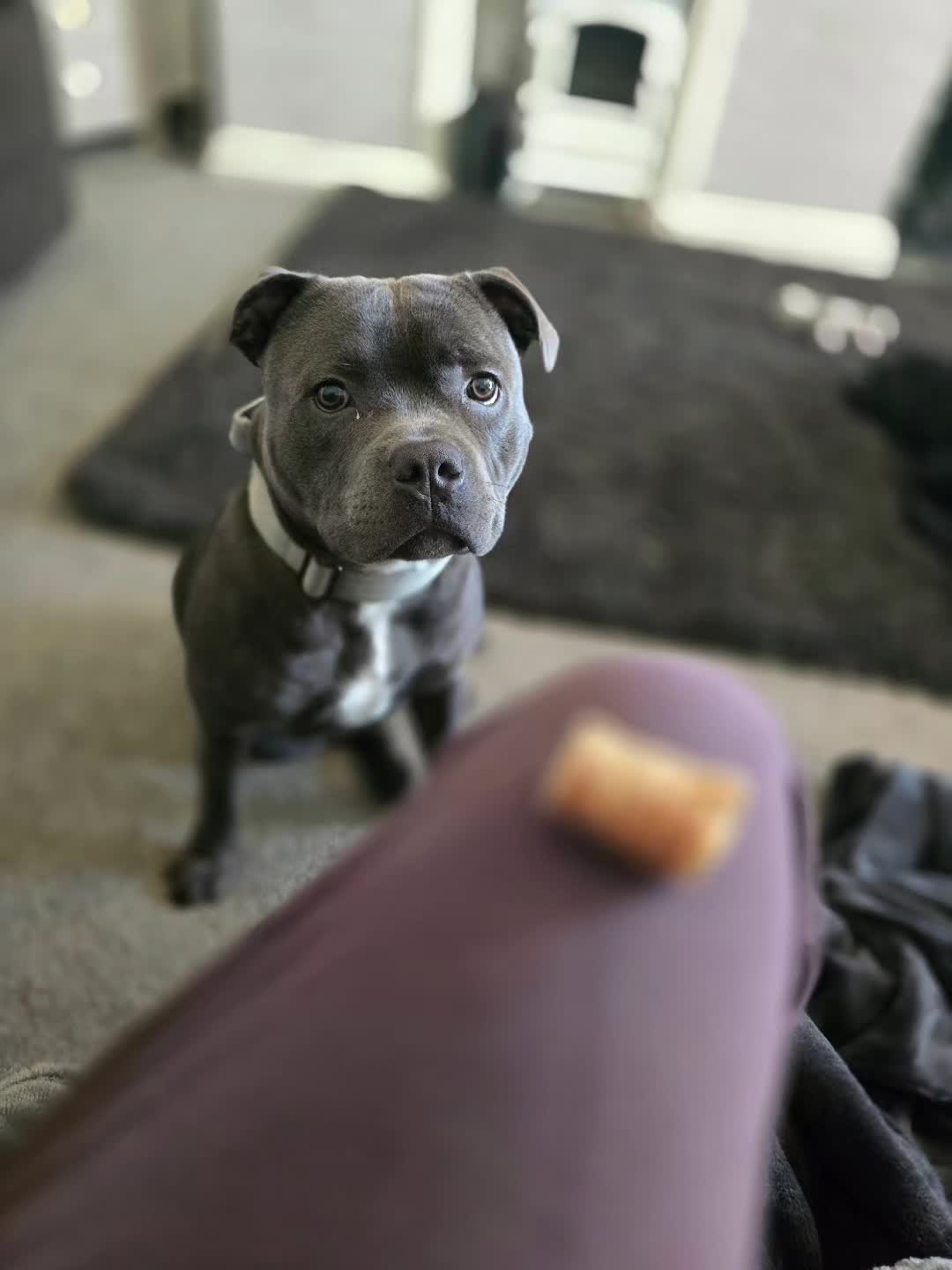 @𝕆𝕕𝕚𝕟🐾